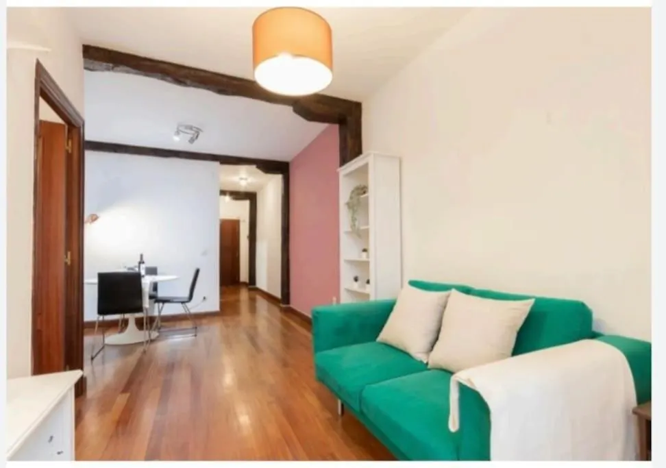 Apartamento En El Centro De Bilbao. Casco Viejo公寓 0*, 毕尔巴鄂 西班牙